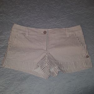 Express Cotton Shorts